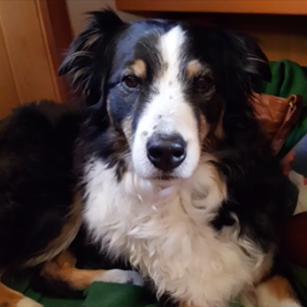 Kiya