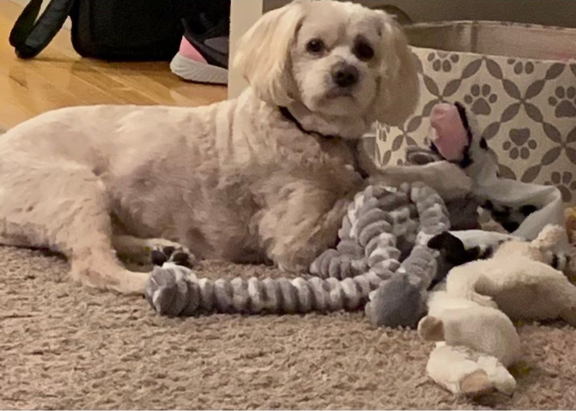 Cody, 13 Going on 14