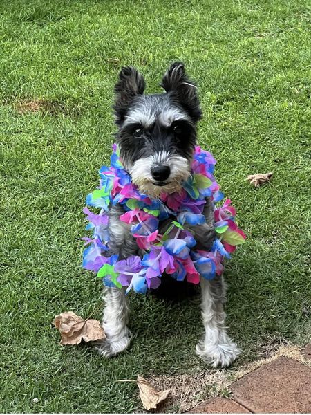 We Just Want to Talk About Bruno!