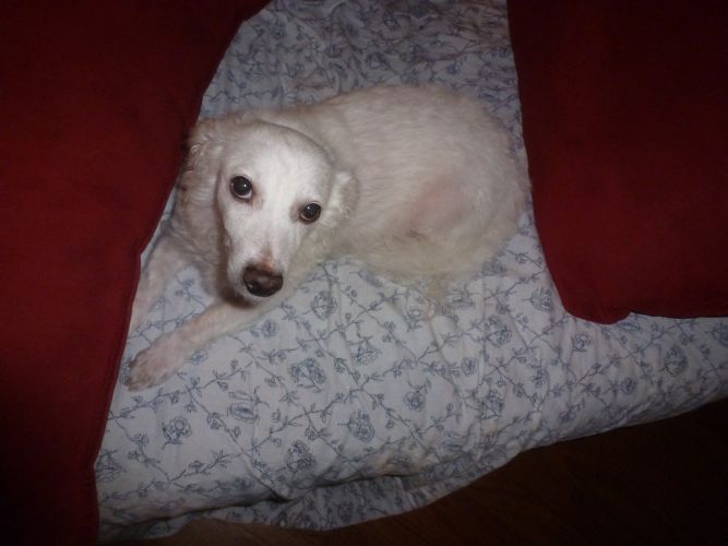 Casper